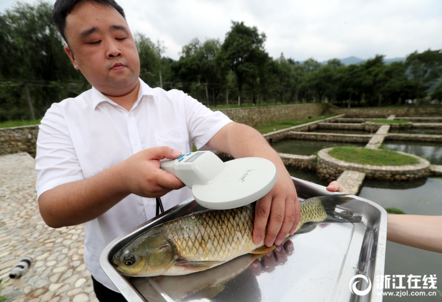 盛唐棋牌下载